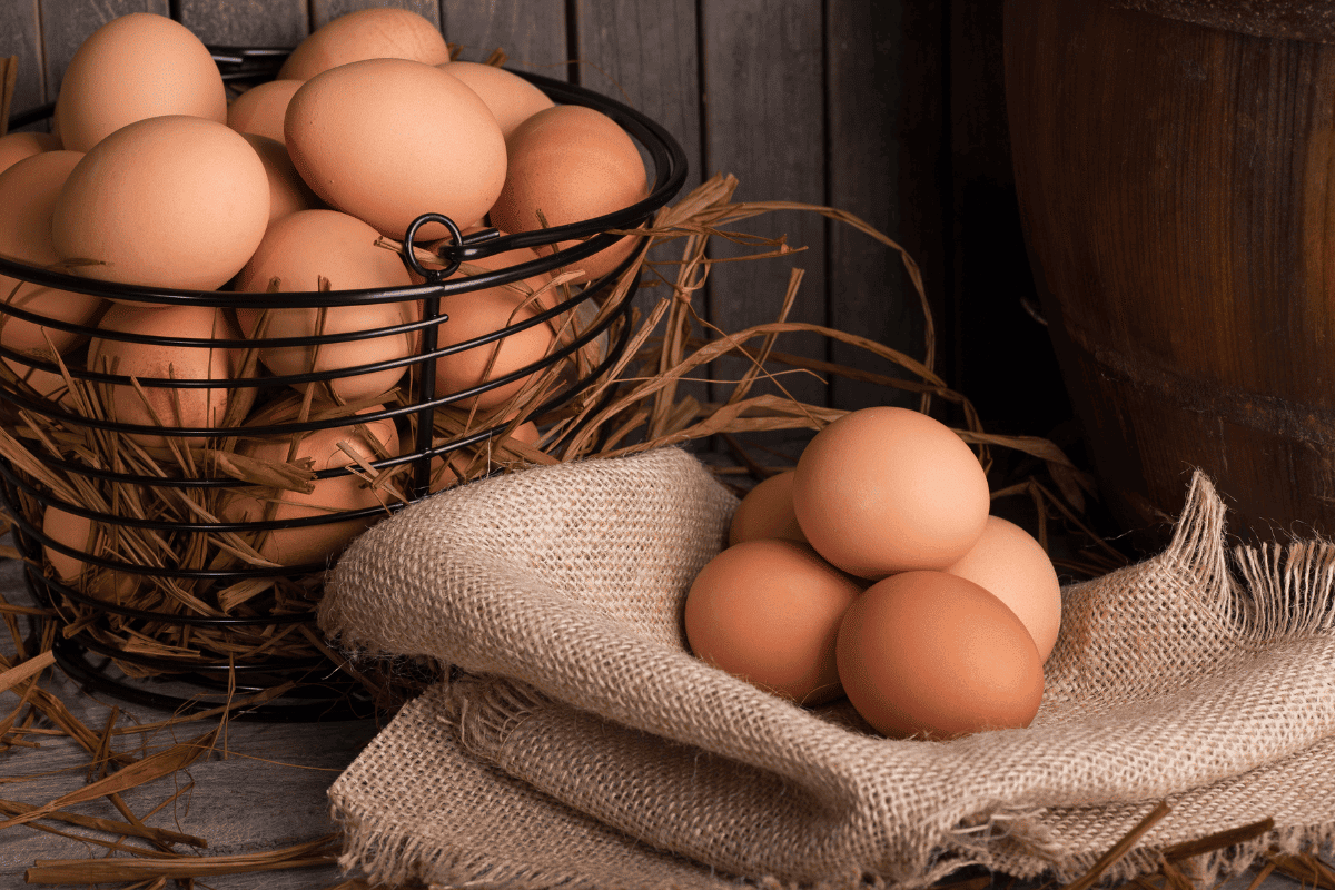 eat seasonally farm fresh eggs available in spring summer & fall