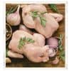Thank you for reserving your bulk pasture-raised chicken! This is a deposit only, with the remaining balance due upon delivery or pickup. We will contact you shortly to schedule a date that works for you. Please note that our chickens are available seasonally, and supply is limited. If you have any questions, feel free to reach out. We appreciate your support of local, pasture-raised poultry!